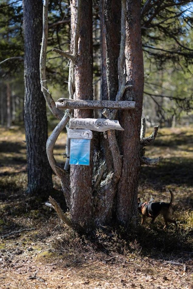 Nordic Lapland Frevisoeren Hotel Batskarsnas Ngoại thất bức ảnh