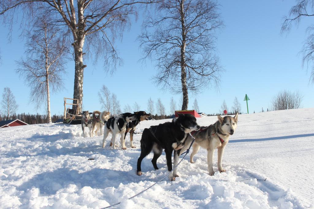 Nordic Lapland Frevisoeren Hotel Batskarsnas Ngoại thất bức ảnh